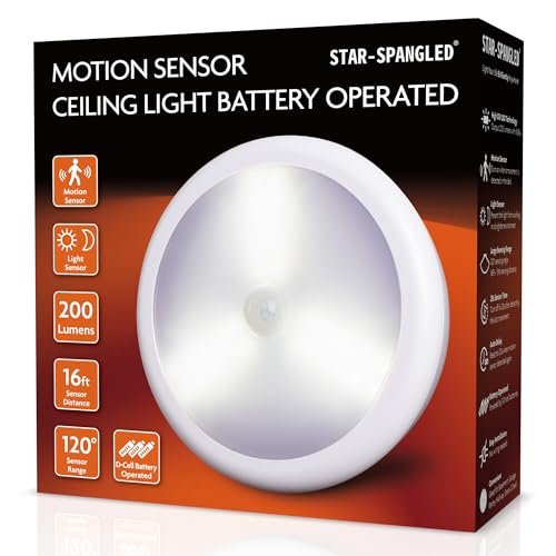 STAR-SPANGLED 6.3” Motion Sensor Ceiling Light Indoor...