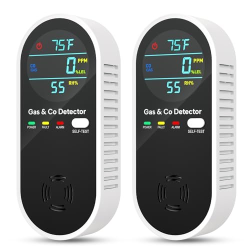 4-in-1 Natural Gas Leak Detector & Carbon Monoxide