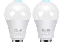 Best Motion Sensor Light Bulb - comprehensive buying guide and reviews