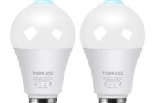 Best Motion Sensor Light Bulb Outdoor - comprehensive buying guide and reviews