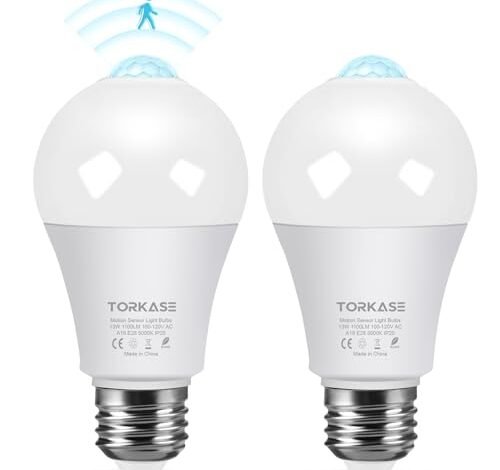 Best Motion Sensor Light Bulb Outdoor - comprehensive buying guide and reviews