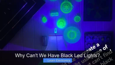 Why Can't We Have Black Led Lights?