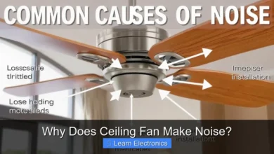 Why Does Ceiling Fan Make Noise?