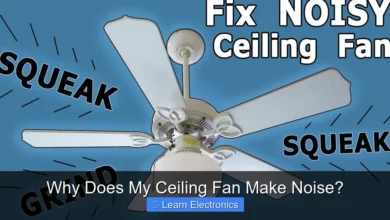 Why Does My Ceiling Fan Make Noise?