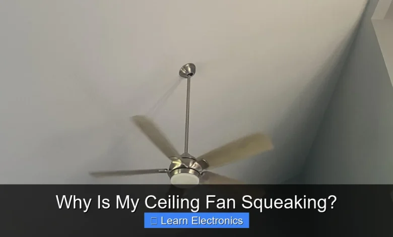 Why Is My Ceiling Fan Squeaking?