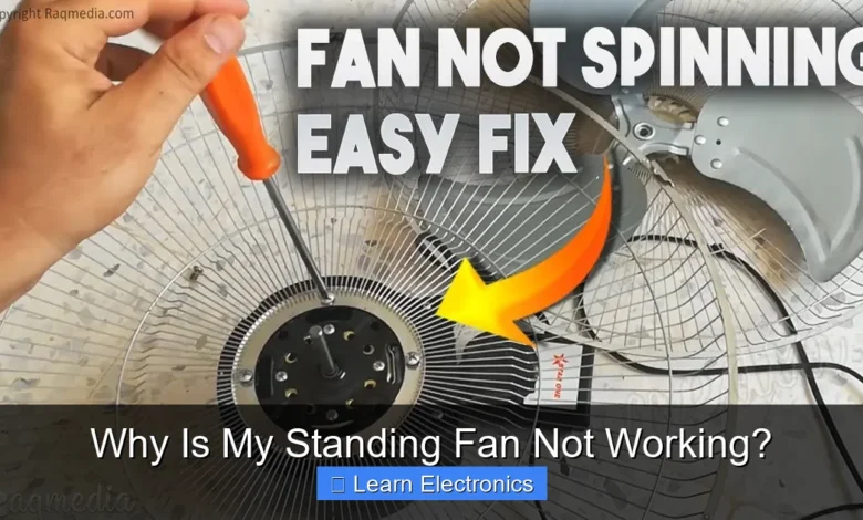 Why Is My Standing Fan Not Working?