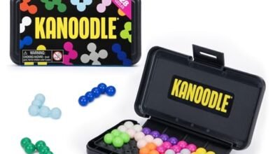 Educational Insights Kanoodle 3D Brain Teaser Puzzle Ages 7 - comprehensive buying guide and reviews