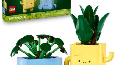 LEGO Botanicals Happy Plants Building Toys - comprehensive buying guide and reviews