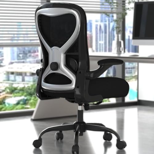 CASASIO Office Desk Chair with Ergonomic Lumbar Support,...
