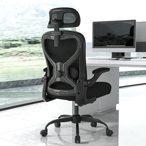 CASASIO Office Chair for Back & Neck Pain Relief, Virgin...