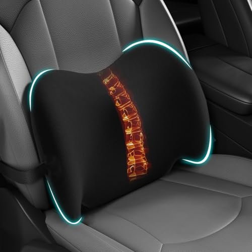 BYMECOST Lumbar Support Pillow for Car, Memory Foam Car...