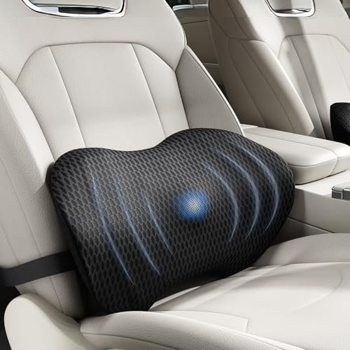 Lumbar Support Pillow for Car, Ergonomic Back Cushion with...