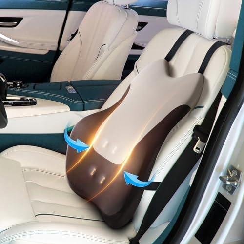 Lumbar Support Pillow for Office Chair Car, Gaming Chair...