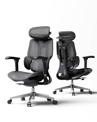 Hbada E3 Air 2026 Ergonomic Office Chair, 3-Zone Lumbar...