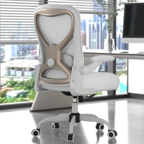 CASASIO Office Desk Chair with Ergonomic Lumbar Support,...