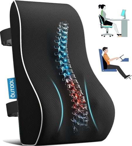 Lumbar Support Pillow for Office Chair, Office Home...