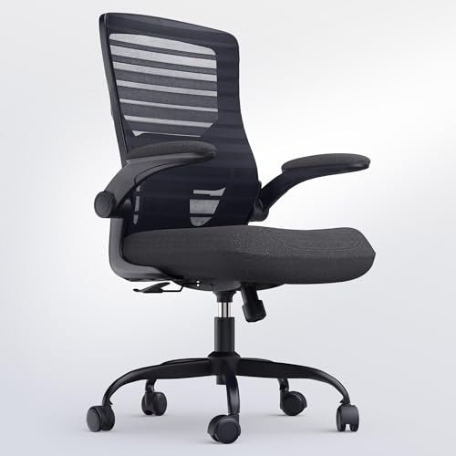 QLTPLUS Office Desk Chair for Long Hours & Lower Back...