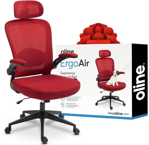 Oline ErgoAir Ergonomic Office Chair – Adjustable Lumbar...