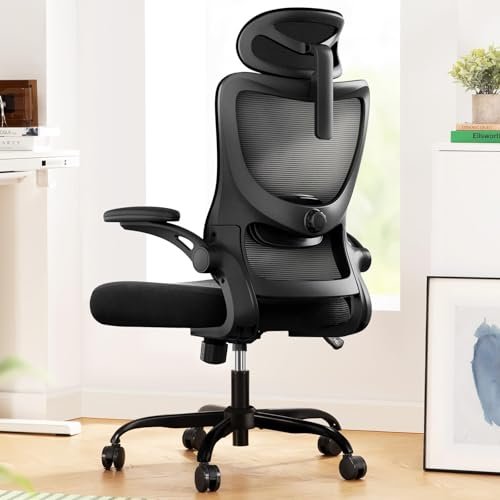 Marsail Ergonomic Office Chair: Office Desk Chair with High...