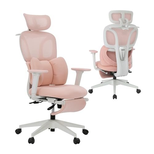CabLady S1 Petite Ergonomic Home Desk Chair with Footrest...