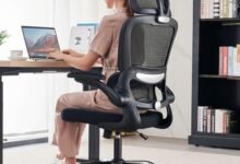 Best Ergonomic Office Chair for Lower Back Pain - comprehensive buying guide and reviews