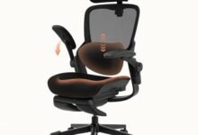 Best Ergonomic Office Chair for Short Person - comprehensive buying guide and reviews